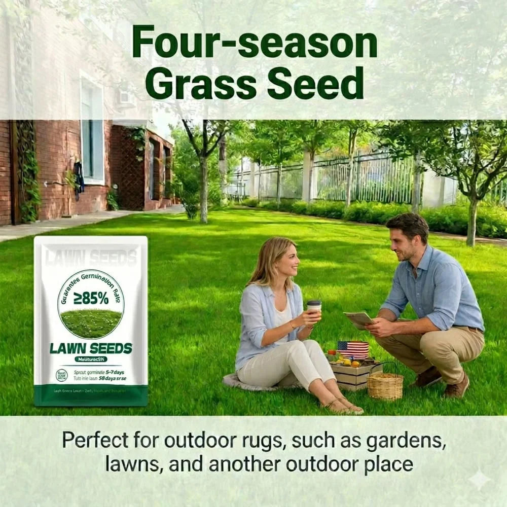 🌱2026 Evergreen Dwarf Grass Seed | For Four Seasons