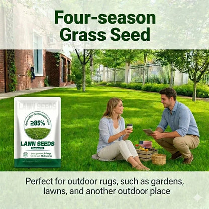 🌱2026 Evergreen Dwarf Grass Seed | For Four Seasons